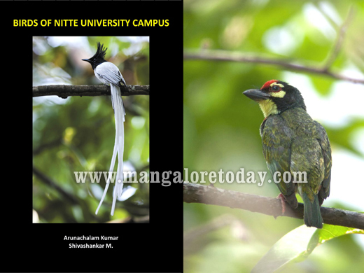 Birds of Nitte University Campus